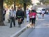 Ecomaratona_del_Chianti_16_Ottobre_2011_701.JPG