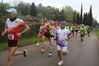 IMG_8626.JPG