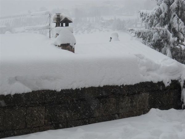 Premi per vedere l'immagine alla massima grandezza