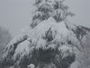 DSCN0664.JPG