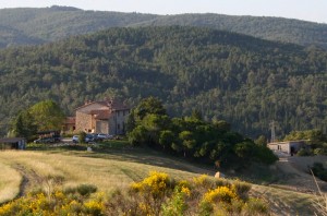 La Provenca vista di insieme