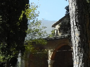 DSCN7657