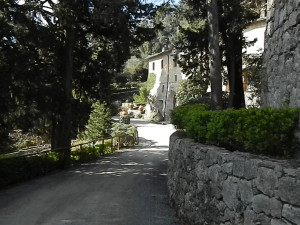 DSCN7665