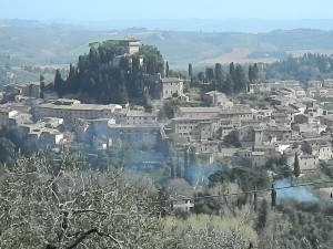 DSCN7683
