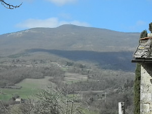 DSCN7698