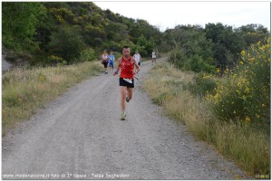 IMG_100[3]