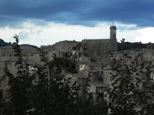 DSCN2831