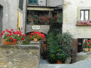 DSCN5012