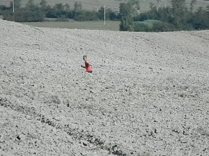 dscn2752