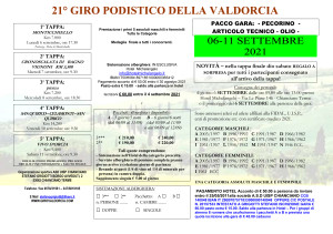 Microsoft Word - girovaldorcia_2021.doc