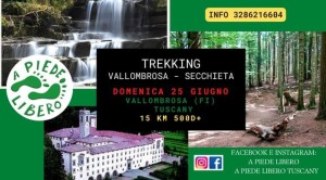Trekkin Vallombrosa - Secchieta 25 giugno