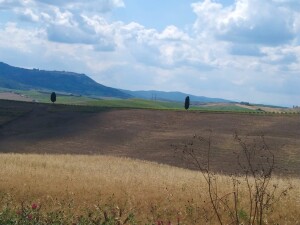 valdorcia 23 (3)